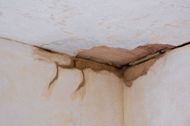 Best Water damage cleanup near me  in Ramapo College Of New Jersey, NJ