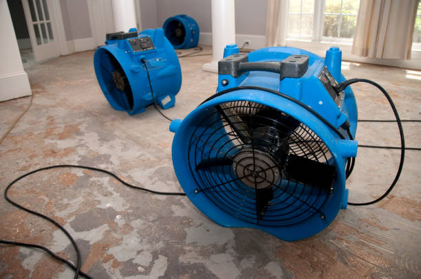 Best Water damage restoration insurance claims  in Ramapo College Of New Jersey, NJ
