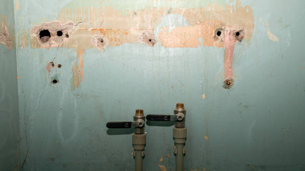 Best Professional water damage repair  in Ramapo College Of New Jersey, NJ