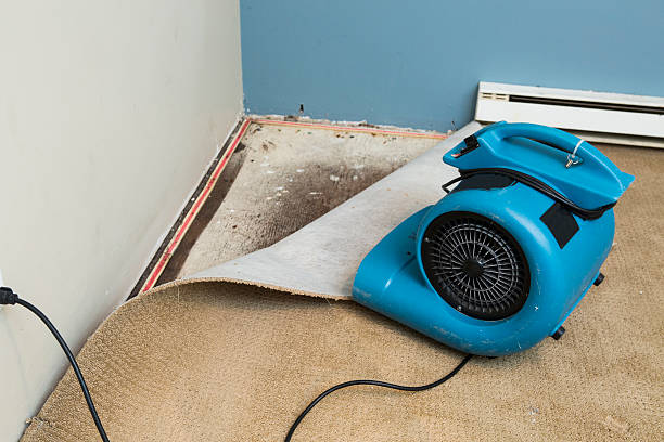 Best Water damage contractors near me  in Ramapo College Of New Jersey, NJ